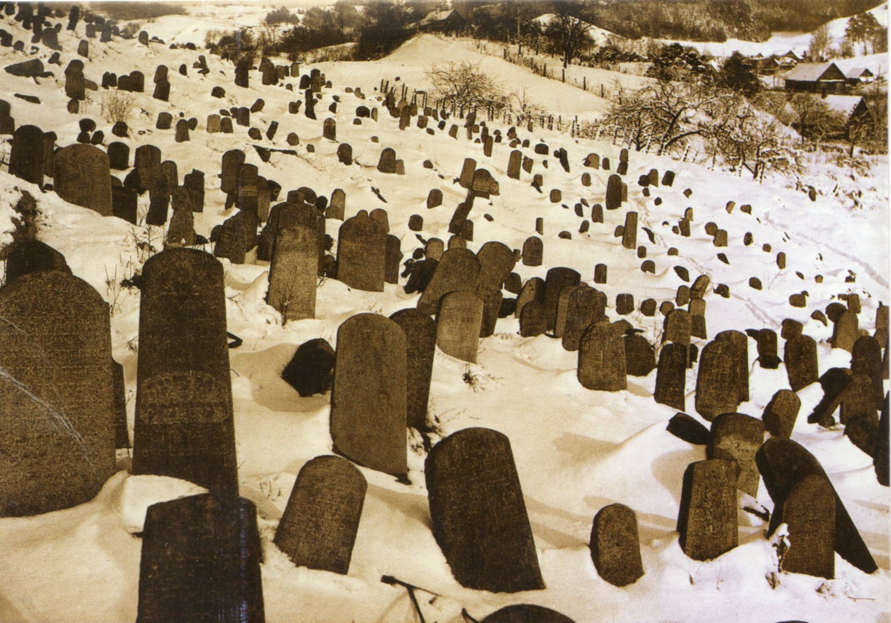 Historic Jewish cemetery in winter, hundreds of matzeivos covered in snow